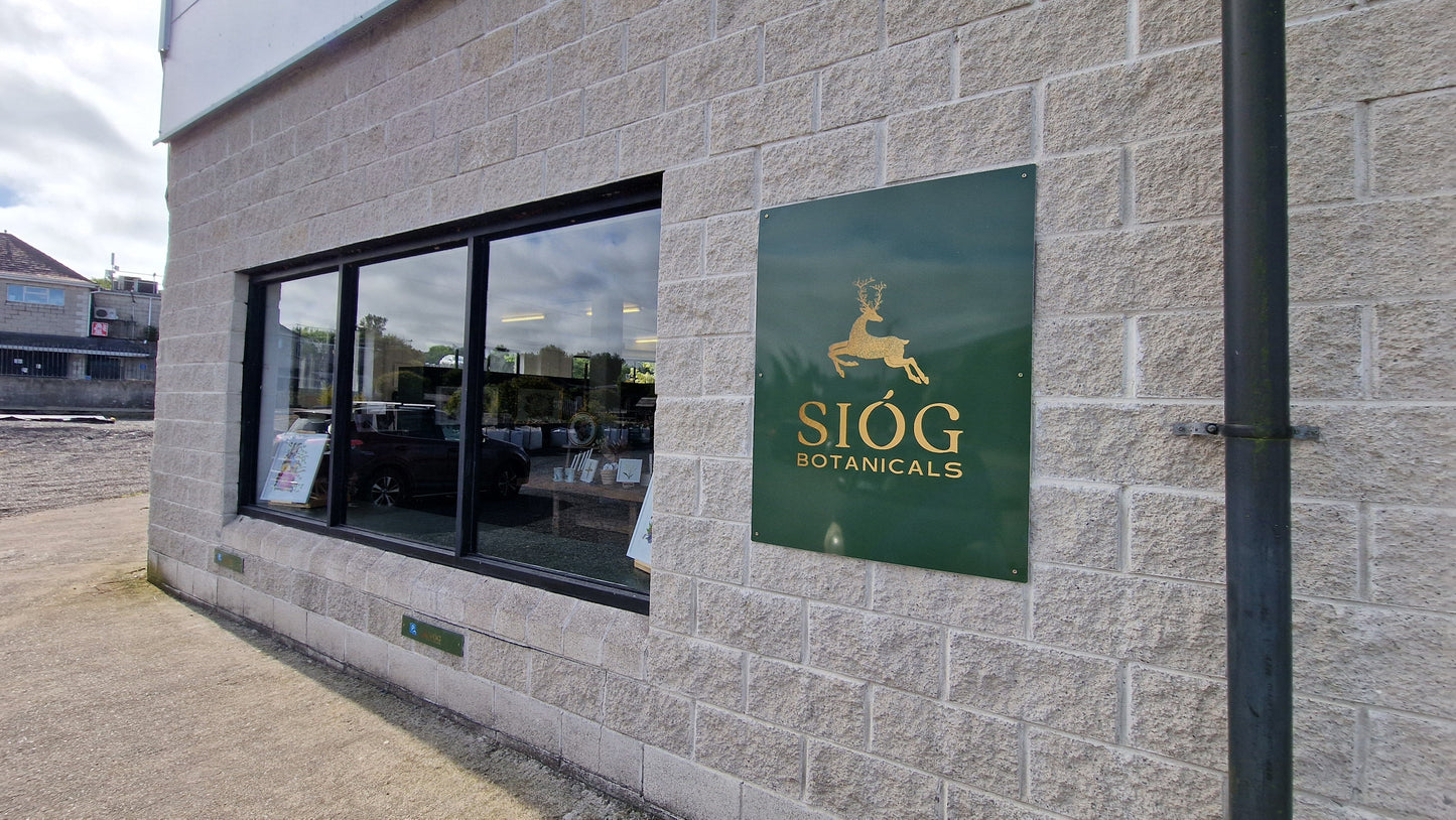 SIÓG Botanicals 13/06/2026 Pressed Flower Art 10am - 1pm @SIÓG Crookstown R14ND91 Pressed Flower Art Workshops