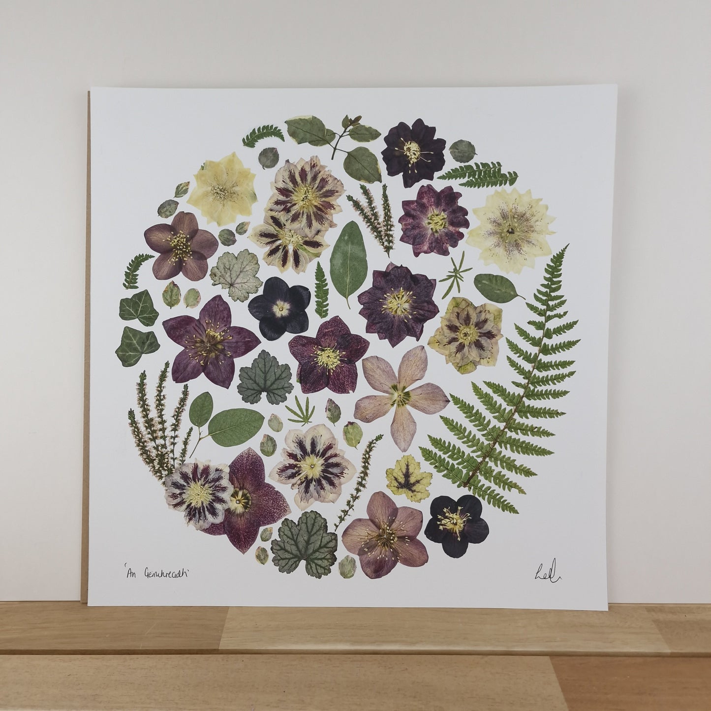 SIÓG Botanicals 16" Square Print 'An Geimhreadh' Winter Flower Art Print