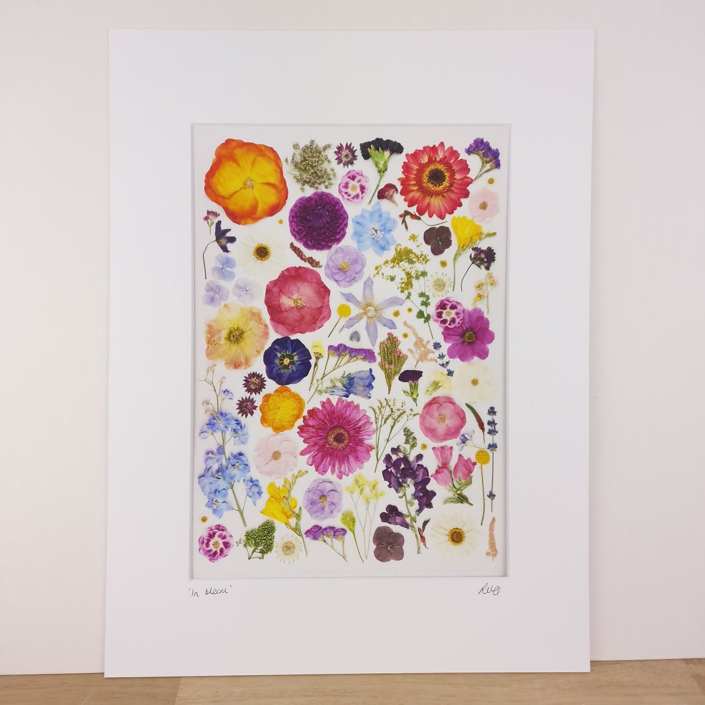 SIÓG Botanicals 16" x 12" Mounted Print 'In Bloom' Flower Art Print