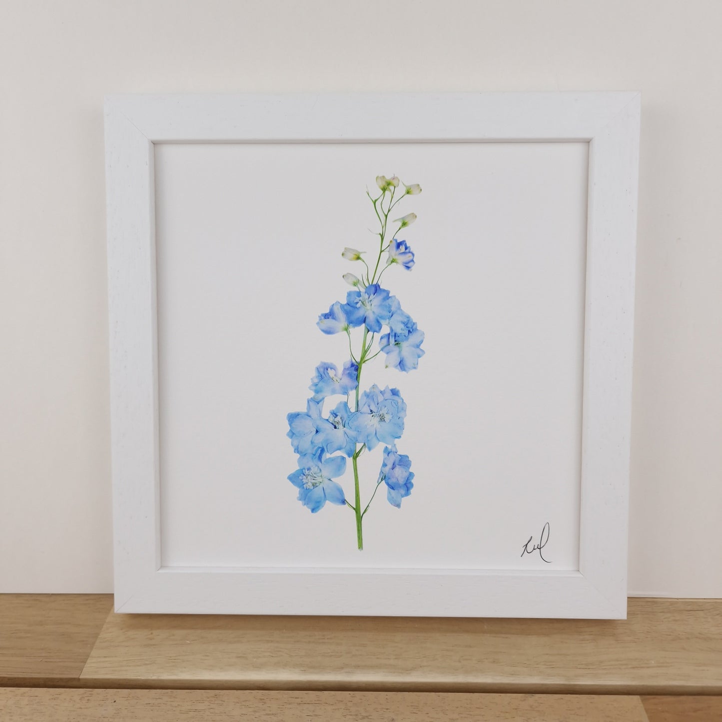 SIÓG Botanicals 8" Square Framed Print Pressed Delphinium Fine Art Print
