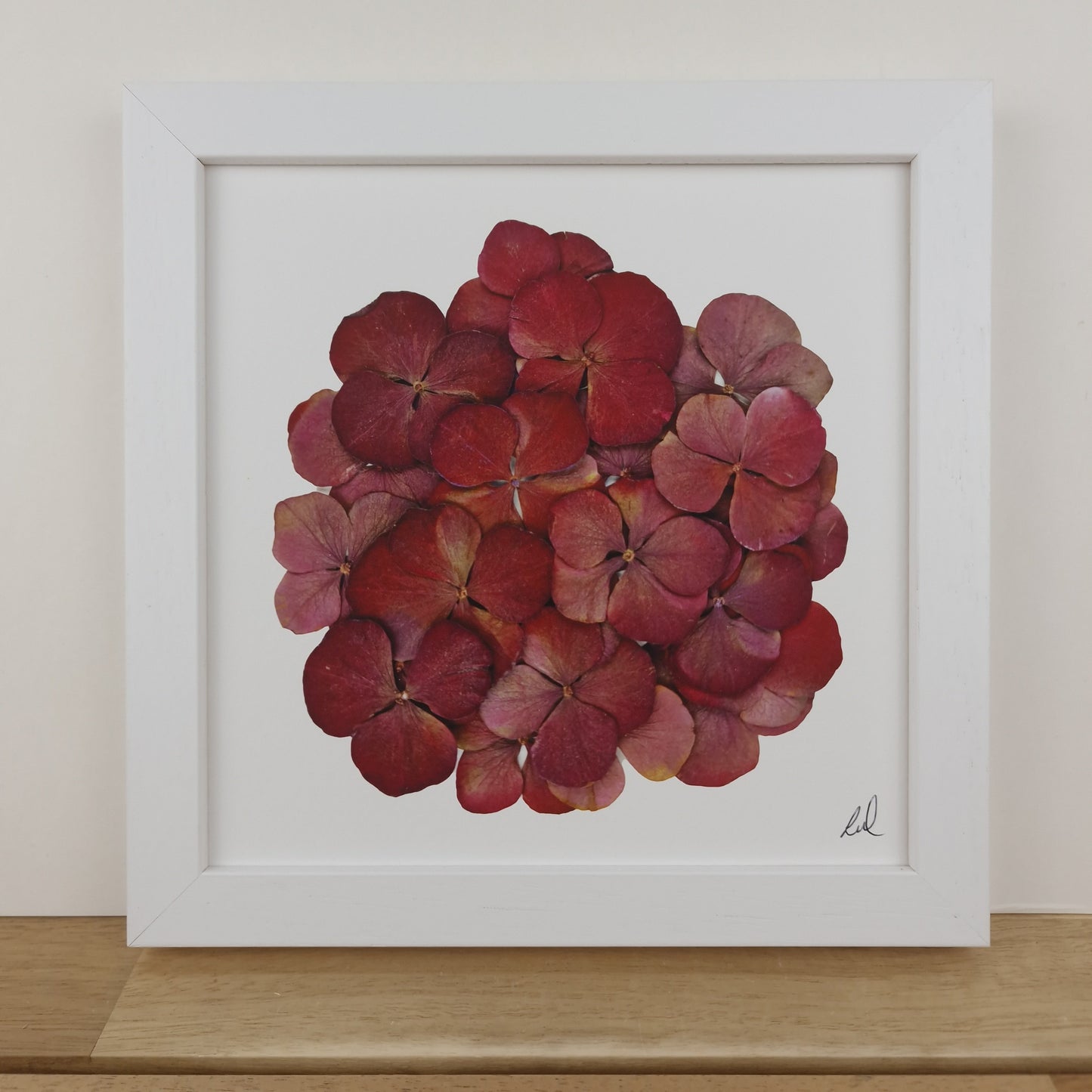SIÓG Botanicals 8" Square Framed Print Pressed Hydrangea Fine Art Print