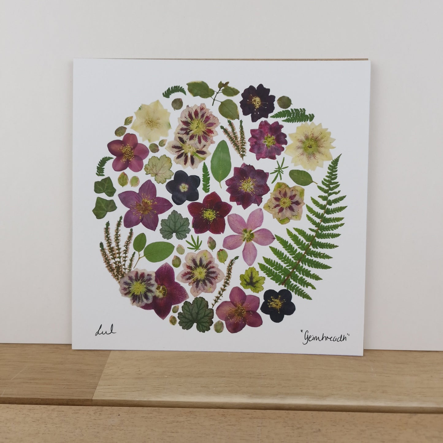 SIÓG Botanicals 8" Square Print 'An Geimhreadh' Winter Flower Art Print