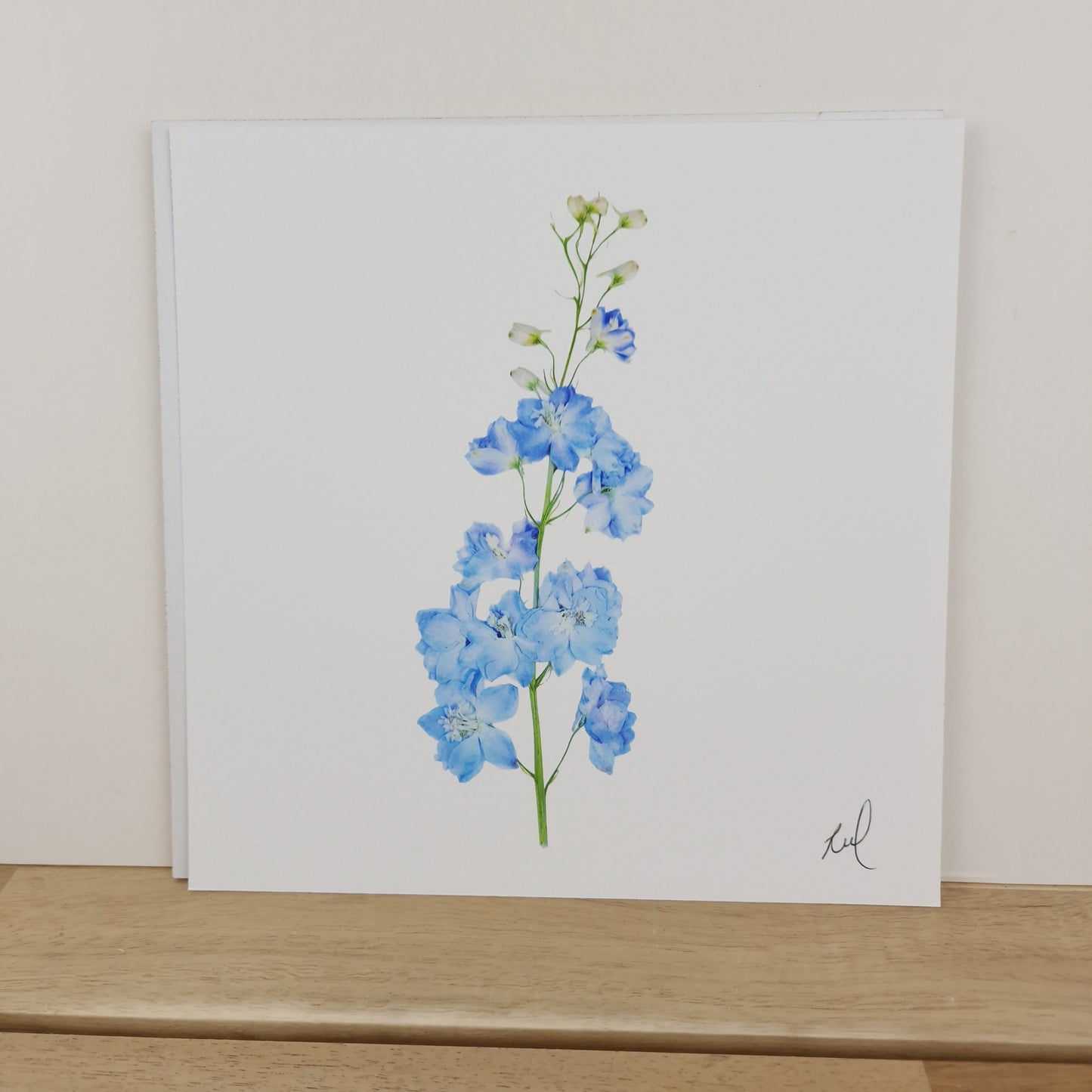 SIÓG Botanicals 8" Square Print Pressed Delphinium Fine Art Print