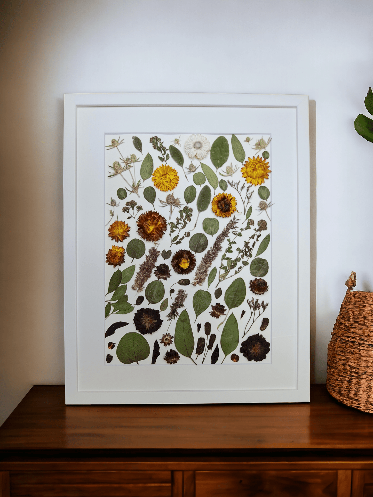 SIÓG Botanicals Abstract (spacing between flowers) / White Wooden Frame Pressed Flower Art on Canvas: 40cm x 50cm