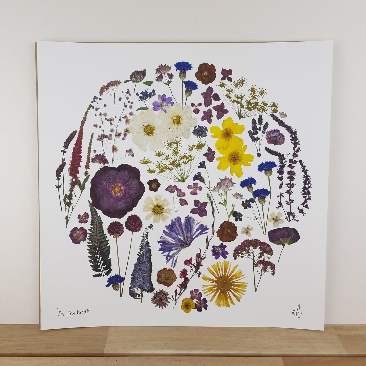 SIÓG Botanicals 'An Samhradh' Summer Flower Art Print