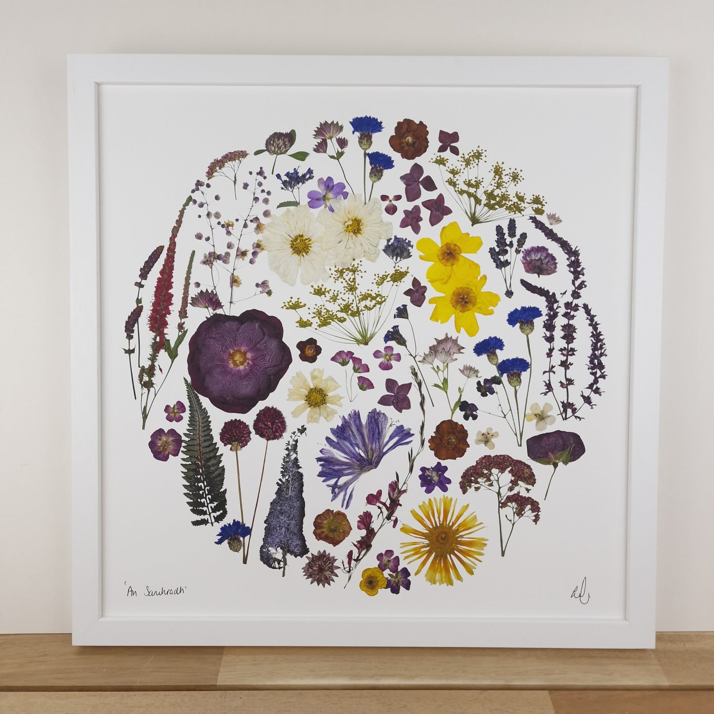 SIÓG Botanicals 'An Samhradh' Summer Flower Art Print
