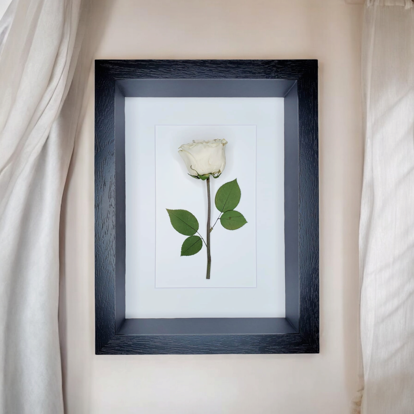 SIÓG Botanicals Black Single Preserved Flower in 3D on Canvas: (12" x 16" / 30cm x 40cm)