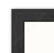 SIÓG Botanicals Black Wooden Frame Pressed Flower Art on Canvas: 30cm x 40cm