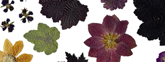 How to Press Flowers at Home: A Simple Guide