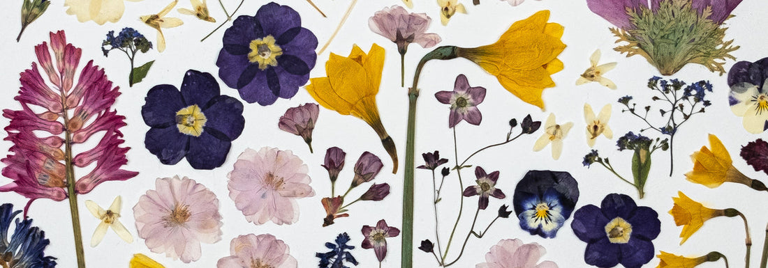 Flower Art & Irish Traditions: Seasons of Nature Art