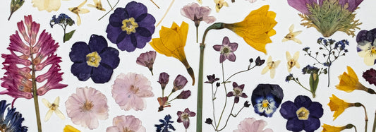 Flower Art & Irish Traditions: Seasons of Nature Art
