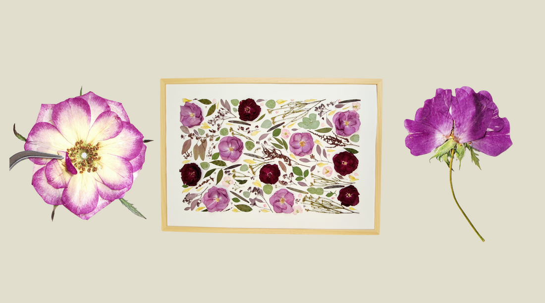 Tips for Caring for your Pressed Flower Frames