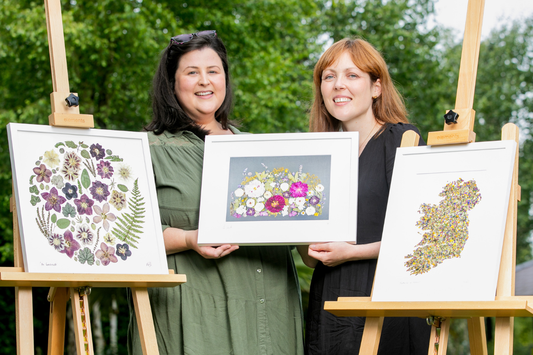 Preserving Pressed Flower Art in Homes with Humidity or Damp