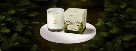 Why We Use Rapeseed Wax in our Candles