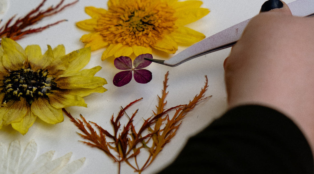 How to Press Flowers at Home: A Simple Guide