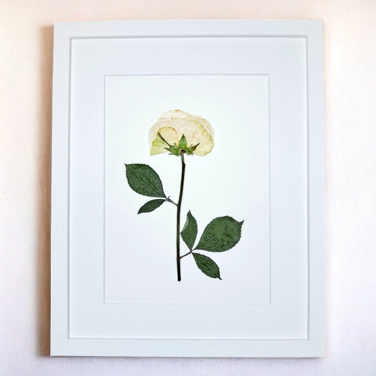 Funeral Flower Preservation