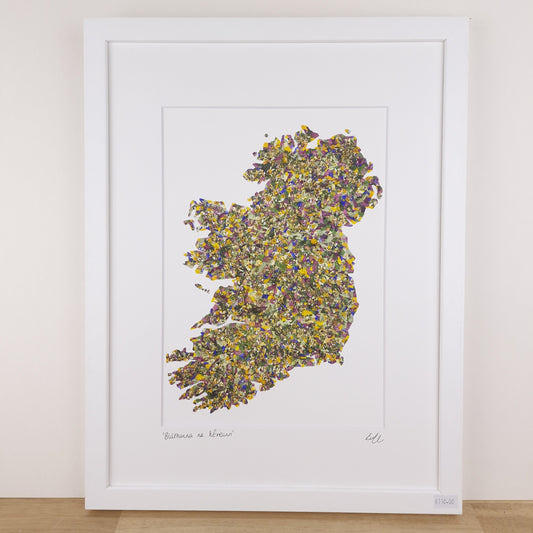 SIÓG Botanicals Product 12" x 16" Framed Print 'Bláthanna na hÉireann' Native Flowers of Ireland Art Print