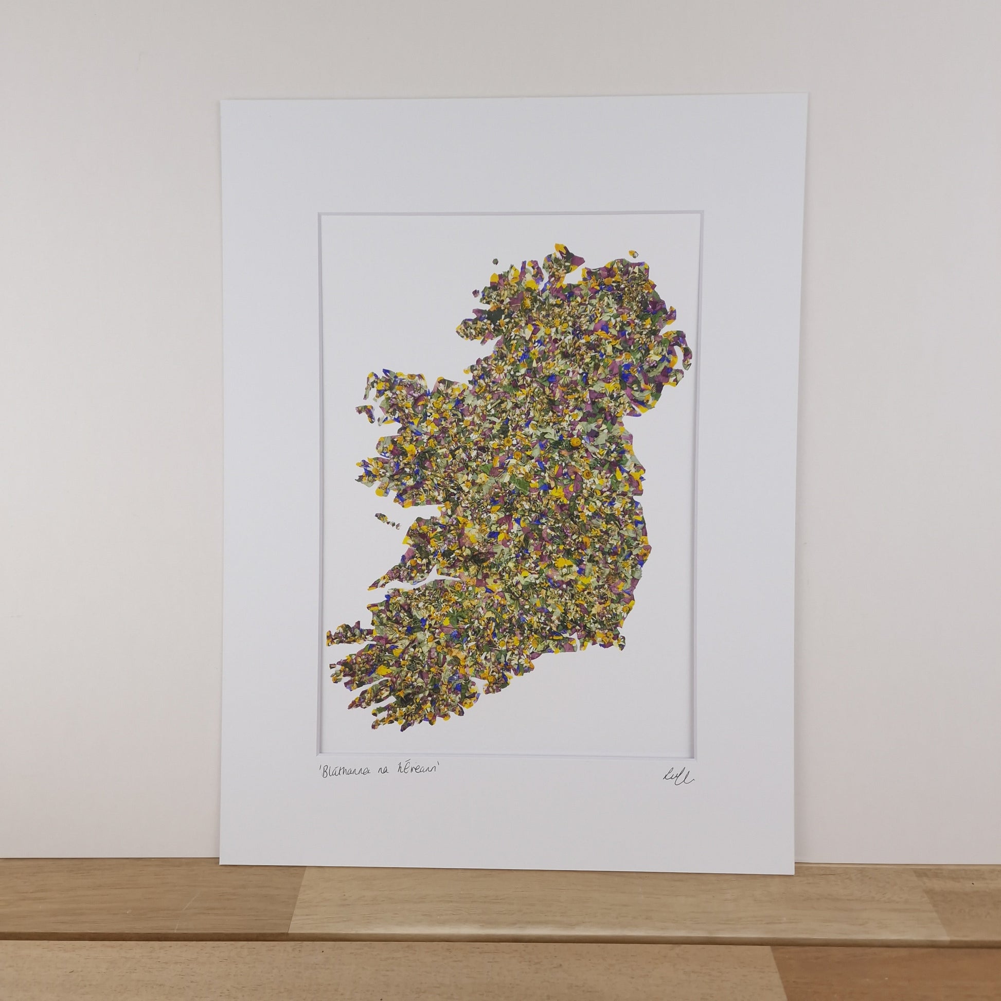 SIÓG Botanicals Product 12" x 16" Mounted Print 'Bláthanna na hÉireann' Native Flowers of Ireland Art Print