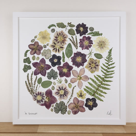 SIÓG Botanicals 16" Square Framed Print 'An Geimhreadh' Winter Flower Art Print