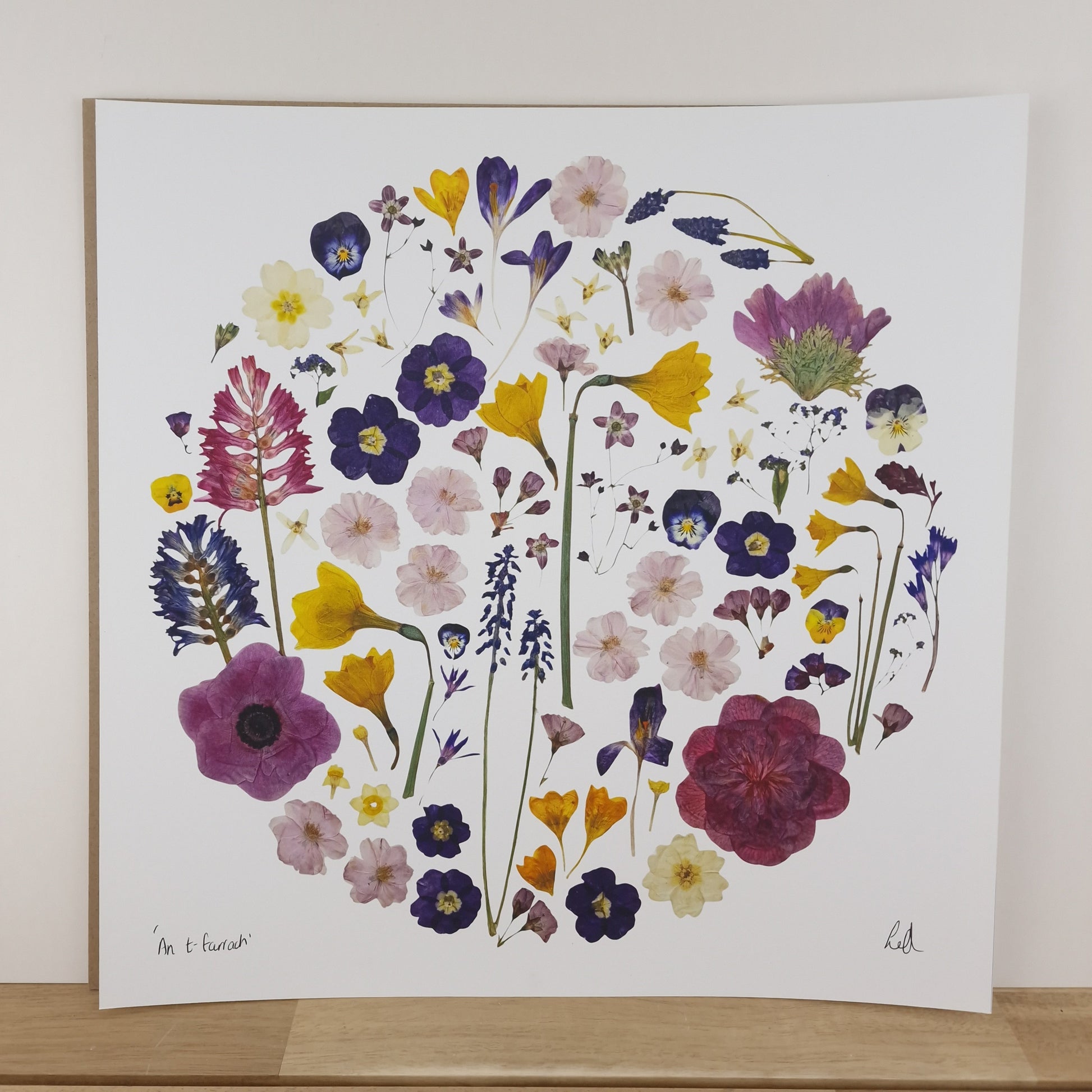SIÓG Botanicals 16" Square Print 'An tEarrach' Spring Flower Art Print