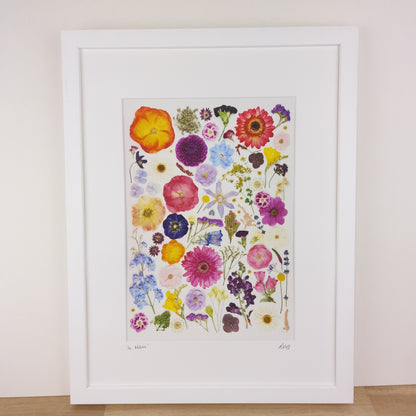 SIÓG Botanicals 16" x 12" Framed Print 'In Bloom' Flower Art Print