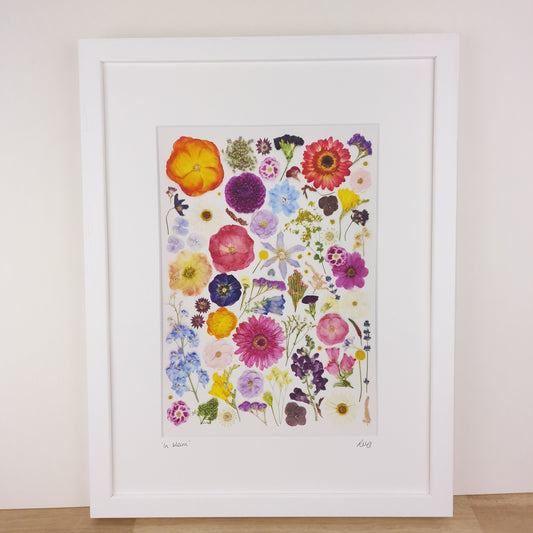 SIÓG Botanicals 16" x 12" Framed Print 'In Bloom' Flower Art Print