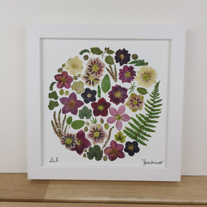 SIÓG Botanicals 8" Square Framed Print 'An Geimhreadh' Winter Flower Art Print