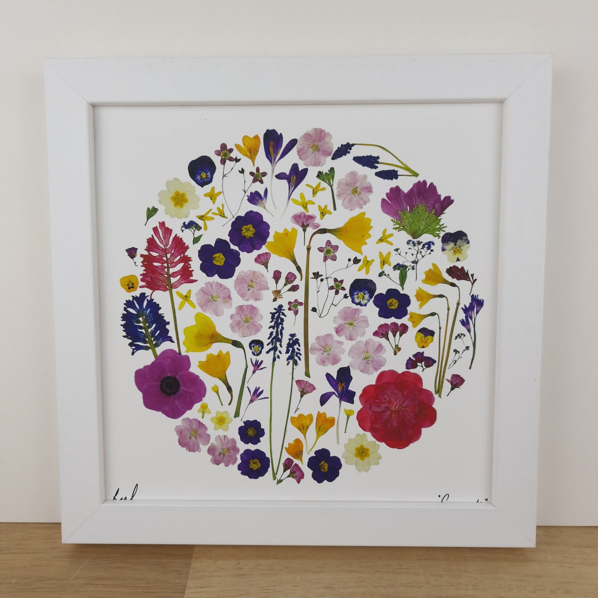 SIÓG Botanicals 8" Square Framed Print 'An tEarrach' Spring Flower Art Print