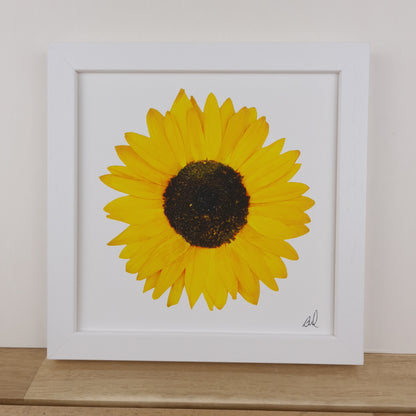 SIÓG Botanicals 8" Square Framed Print Pressed Sunflower Fine Art Print