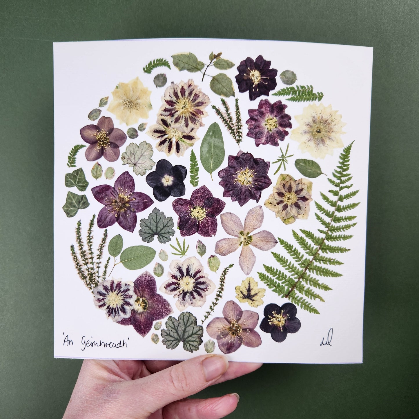 SIÓG Botanicals 8" Square Print 'An Geimhreadh' Winter Flower Art Print