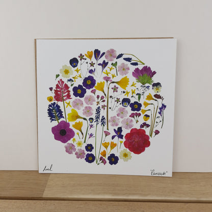SIÓG Botanicals 8" Square Print 'An tEarrach' Spring Flower Art Print