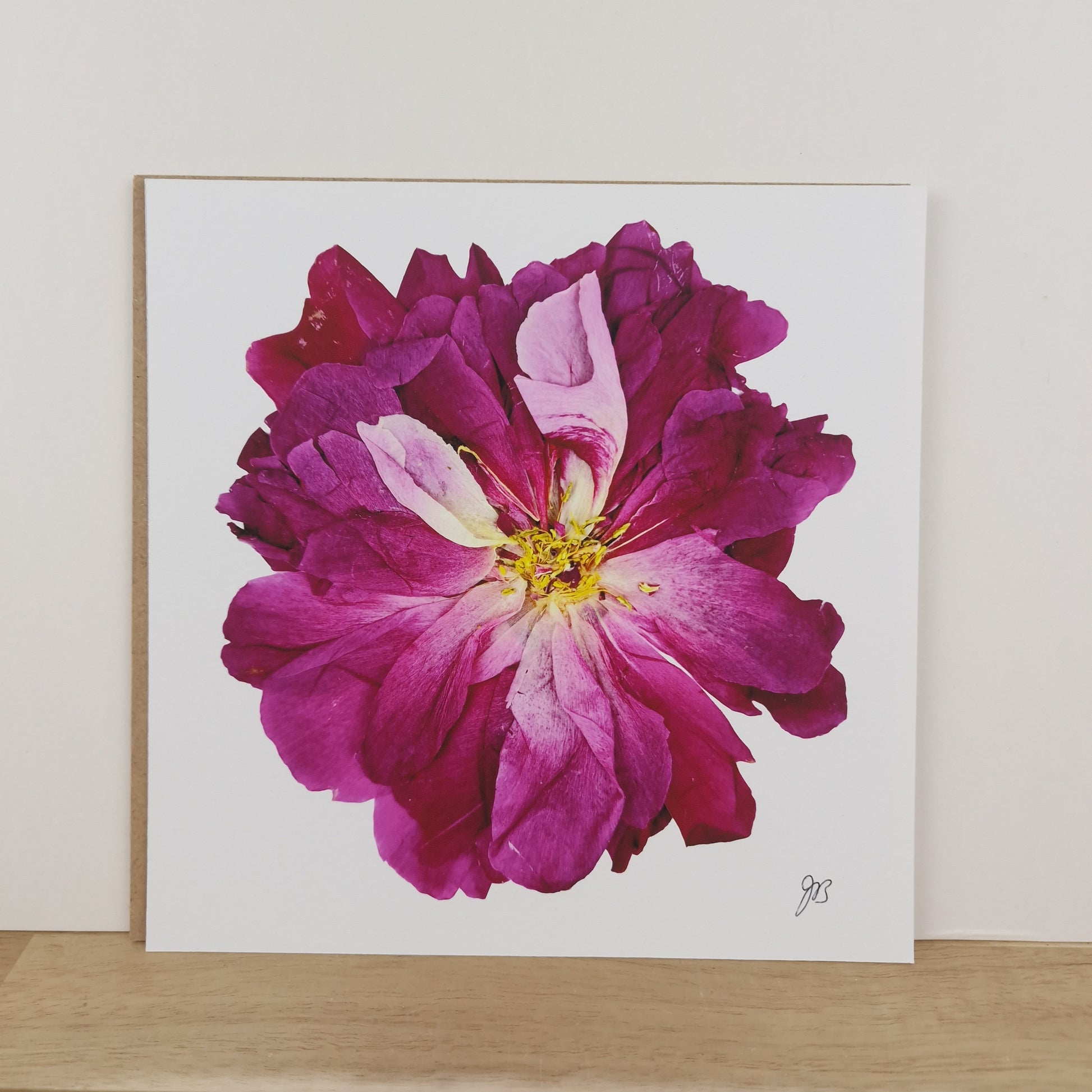 SIÓG Botanicals 8" Square Print Pressed Peony Fine Art Print