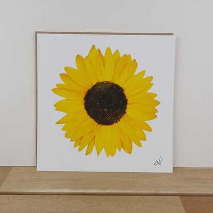 SIÓG Botanicals 8" Square Print Pressed Sunflower Fine Art Print