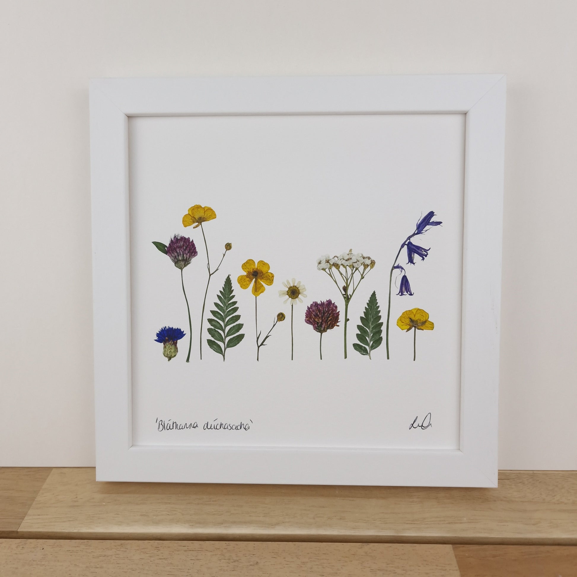 SIÓG Botanicals 8" x 8" Framed Print 'Bláthanna dúchasacha' Native Flowers Fine Art Print