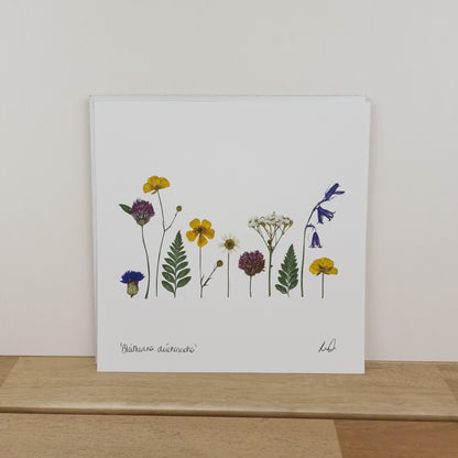 SIÓG Botanicals 8" x 8" Print 'Bláthanna dúchasacha' Native Flowers Fine Art Print