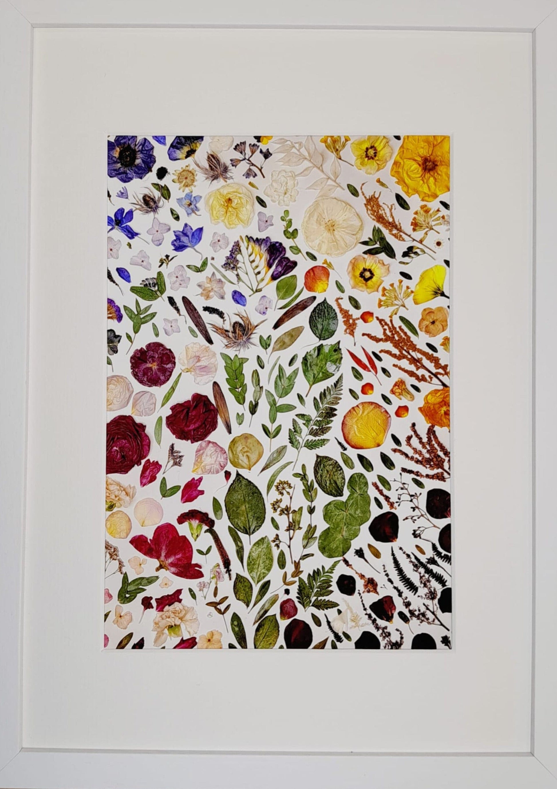 SIÓG Botanicals A3 Framed 'DRAÍOCHT' Fine Art Giclee Print