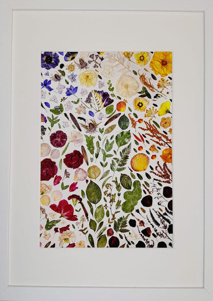 SIÓG Botanicals A3 Framed 'DRAÍOCHT' Fine Art Giclee Print