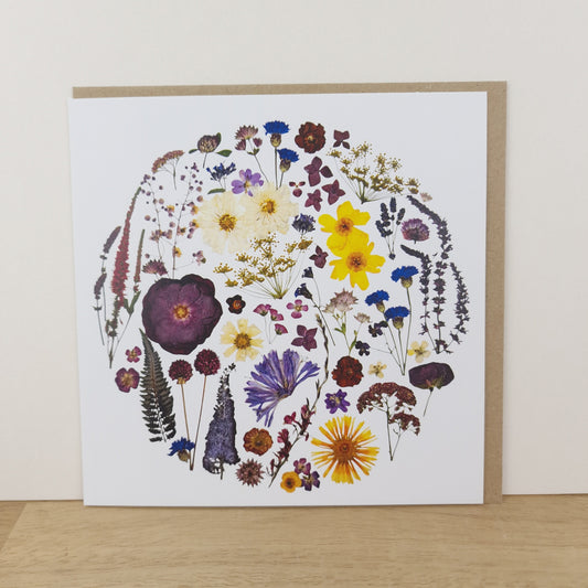 SIÓG Botanicals 'An Samhradh' Winter Flower Greeting Card