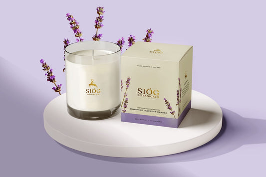 SIÓG Botanicals Blooming Lavender Candle - 50 HR Burn Time