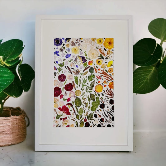 SIÓG Botanicals 'DRAÍOCHT' Fine Art Giclee Print