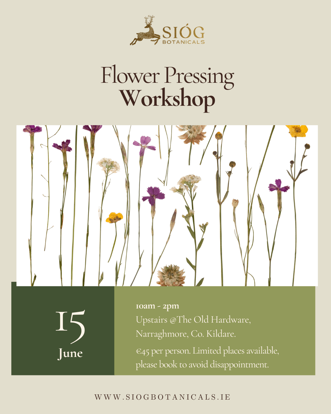 SIÓG Botanicals Flower Pressing Workshop June 15th, 2024