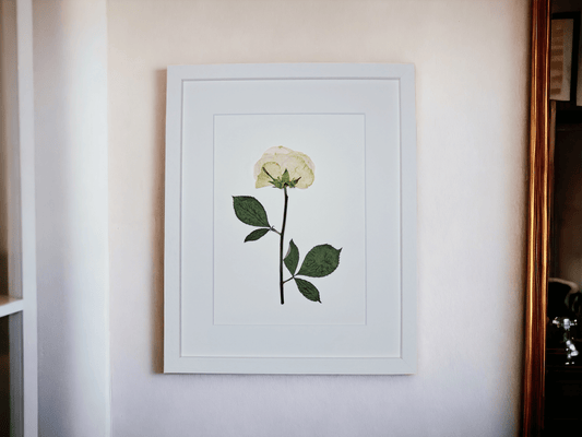 SIÓG Botanicals White Wooden Frame Pressed Flower Art on Canvas: 20cm x 25cm